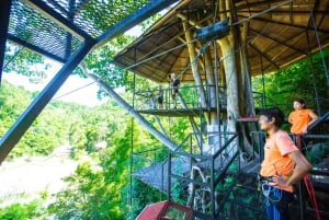 パンガン島：空高くまで登るジップラインとワンサイ滝の眺め