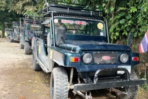 Ko Samui: 4WD Wild Jungle Safari Tour with Lunch