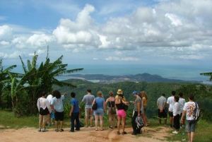 Ko Samui: 4WD Wild Jungle Safari Tour with Lunch