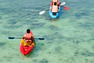 Ko Samui: Angthong Marine Park Snorkel & Kayak Tour / z lunchem