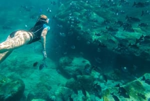 Ko Samui: Angthong Marine Park Snorkel & Kayak Tour / z lunchem