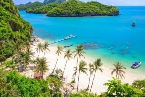 Ko Samui: Angthong Marine Park snorkle- og kajaktur med frokost