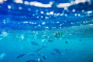 Ko Samui: Angthong Marine Park snorkle- og kajaktur med frokost