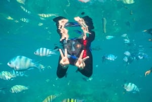 Ko Samui: Angthong Marine Park snorkle- og kajaktur med frokost