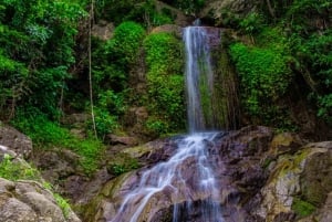Ko Samui: Tree Bridge Jungle Zipline en Waterval Avontuur