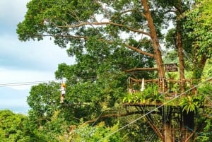 Ko Samui: Tree Bridge Jungle Zipline en Waterval Avontuur