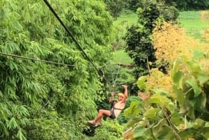Ko Samui: Tree Bridge Jungle Zipline en Waterval Avontuur