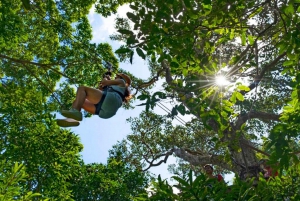 Ko Samui: Tree Bridge Jungle Zipline en Waterval Avontuur