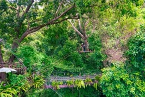 Ko Samui: Tree Bridge Jungle Zipline en Waterval Avontuur