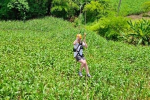 Ko Samui: Tree Bridge Jungle Zipline en Waterval Avontuur