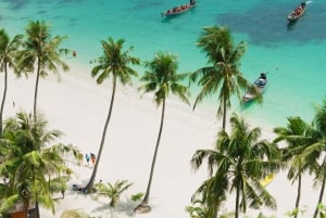 Ko Samui: Unik dagsutflykt för snorkling på Ko Tao och Ko Nang Yuan