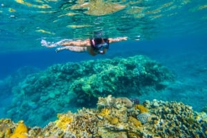 Ko Samui: Unik dagsutflykt för snorkling på Ko Tao och Ko Nang Yuan