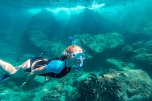 Ko Samui: Unik dagsutflykt för snorkling på Ko Tao och Ko Nang Yuan