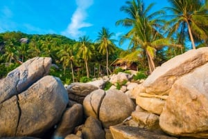 Ko Samui: Unik dagsutflykt för snorkling på Ko Tao och Ko Nang Yuan