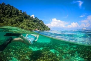 Ko Samui: Unik dagsutflykt för snorkling på Ko Tao och Ko Nang Yuan