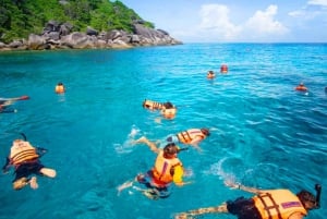 Ko Samui: Unik dagsutflykt för snorkling på Ko Tao och Ko Nang Yuan