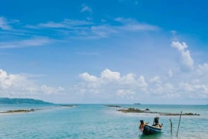 Ko Samui: Tour in barca dell'Isola dei Maiali e di Koh Tan