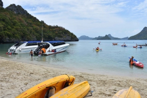 Koh Phangan: Angthong Emerald Waters og kajaksejlads med speedbåd