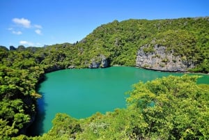 Koh Phangan: Angthong Emerald Waters e caiaque em lancha rápida