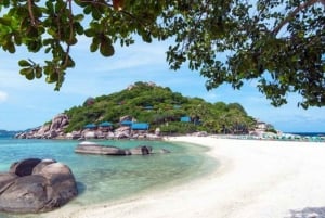 Koh Phangan: Koh Nang Yuan and Koh Tao Snorkeling Tour