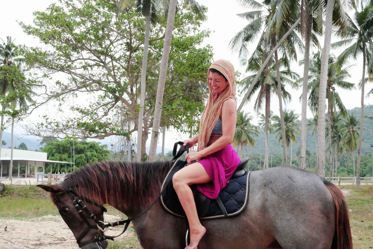 Koh Samui: 1-Hour Horseback Riding on Taling Ngam’s Shores