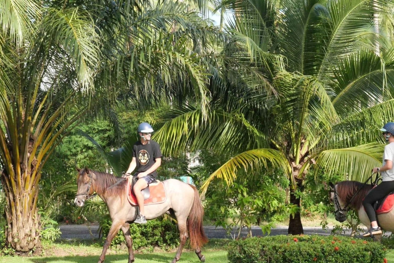 Koh Samui: 1-Hour Horseback Riding on Taling Ngam’s Shores