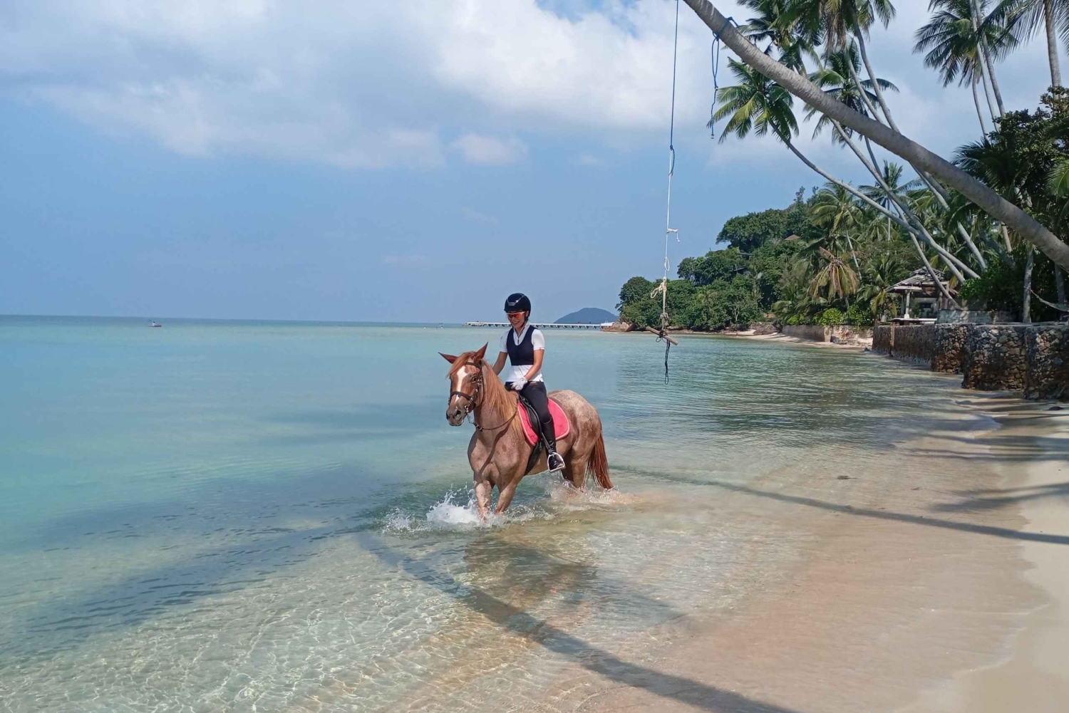 Koh Samui: 1-Hour Horseback Riding on Taling Ngam’s Shores