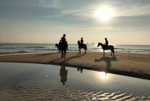Koh Samui: 1-Hour Horseback Riding on Taling Ngam’s Shores