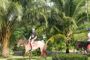 Koh Samui: 1-Hour Horseback Riding on Taling Ngam’s Shores