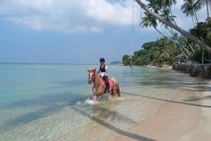 Koh Samui: 1-Hour Horseback Riding on Taling Ngam’s Shores