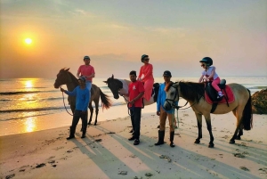 Koh Samui: 1-Hour Horseback Riding on Taling Ngam’s Shores