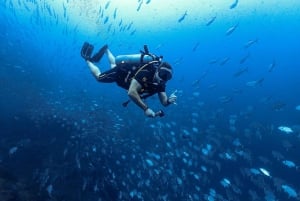 Koh Samui: 3-Day PADI Open Water Diver Course