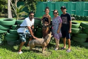 Koh Samui: Strzelanie z łuku i kuszy '3D-Archery'