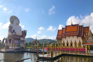 Koh Samui: 4x4 Off Road Island Safari Tour Including Lunch