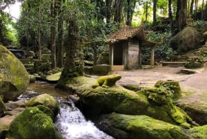Koh Samui: Offroader-safari med templer, vandfald og frokost