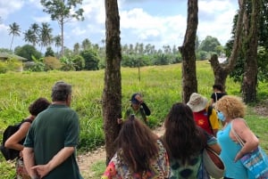 Ko Samui: Offroad-Inselsafari im Geländewagen & Mittagessen