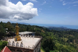 Koh Samui: 4x4 Sightseeing Safari & Elephant Sanctuary Tour