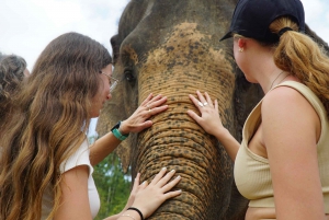 Koh Samui: 4x4 Sightseeing Safari & Elephant Sanctuary Tour