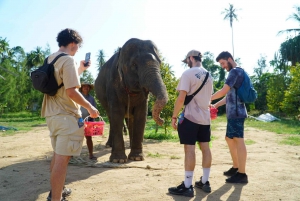 Koh Samui: tour panoramico in 4x4 e tour del santuario degli elefanti