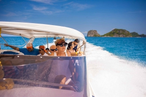 Koh Samui: Pig Island Tour by Speedboat with Snorkeling