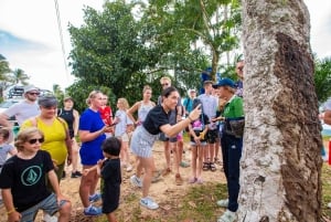 Koh Samui Avontuur: Verborgen juweeltjes & 4x4 Safari Tour /w Lunch