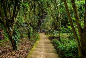 Koh Samui Avontuur: Verborgen juweeltjes & 4x4 Safari Tour /w Lunch