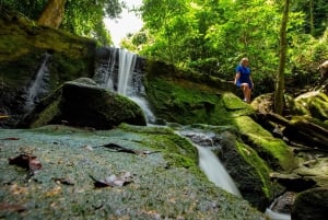 Koh Samui Avontuur: Verborgen juweeltjes & 4x4 Safari Tour /w Lunch