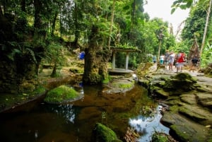 Koh Samui Avontuur: Verborgen juweeltjes & 4x4 Safari Tour /w Lunch