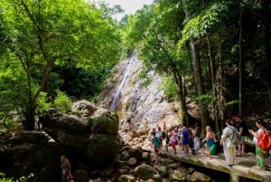 Koh Samui Avontuur: Verborgen juweeltjes & 4x4 Safari Tour /w Lunch