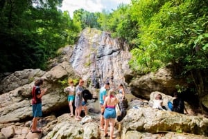 Koh Samui Avontuur: Verborgen juweeltjes & 4x4 Safari Tour /w Lunch