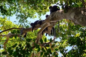 Koh Samui Ang Thong Marine Park: dagtocht per zeilboot