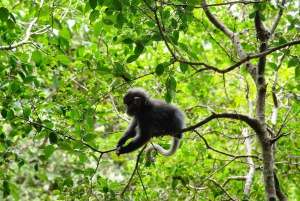 Koh Samui Ang Thong Marine Park: dagtocht per zeilboot