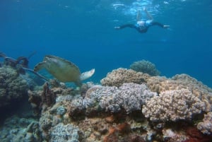 Koh Samui: Gita in barca al Parco Nazionale Marino di Ang Thong con pranzo