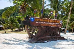 Koh Samui: Ang Thong Marine Park Day Tour by Speedboat